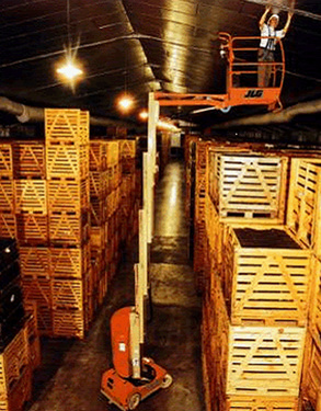 美國JLG Toucan 係列 桅柱式高空作業平台